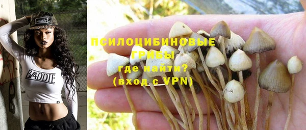 крисы Аркадак