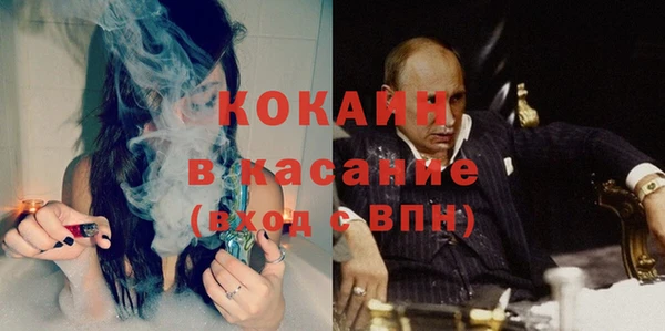дмт Алзамай