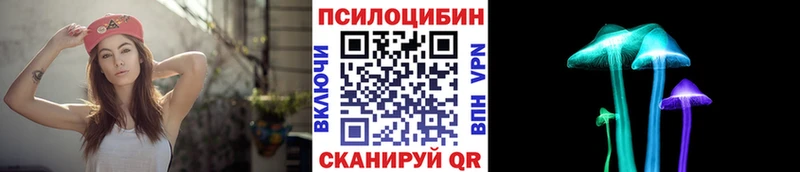 Псилоцибиновые грибы Cubensis  Могоча 